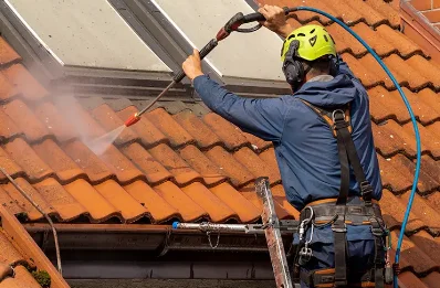 Démoussage et hydrofuge de toiture au Vilhain